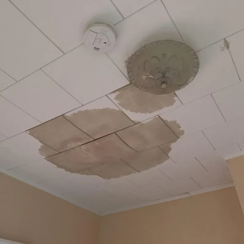 Ceiling Water Damage Repair in Orrington, ME