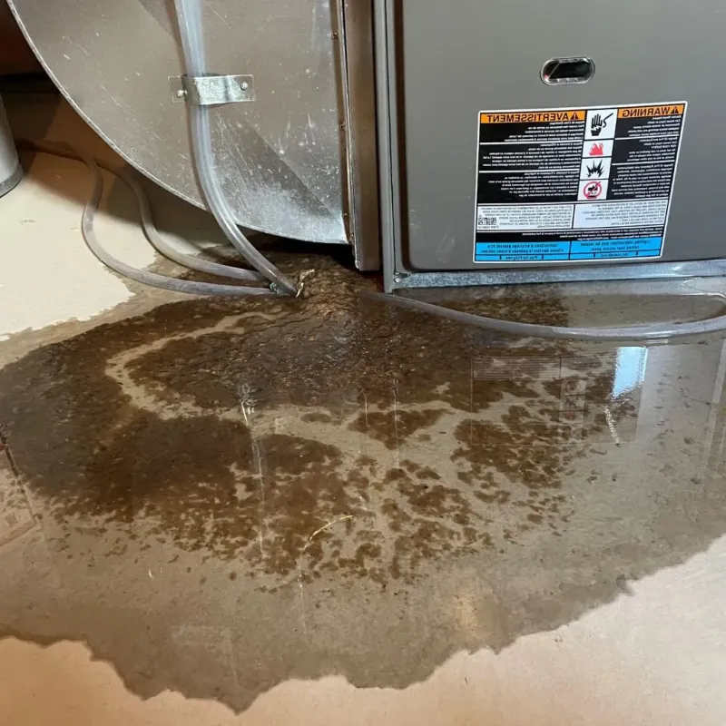 Pipe Burst and Leak Restoration in Orrington, ME
